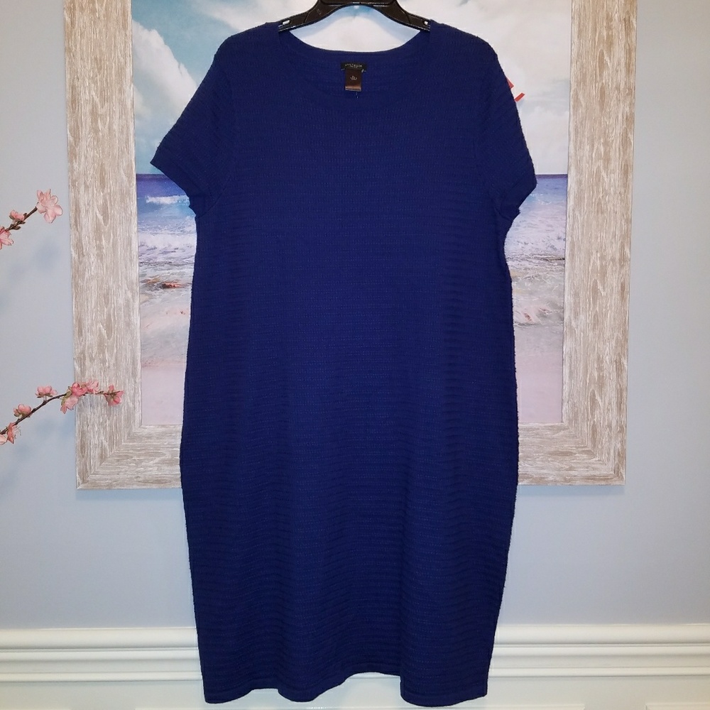 ANN TAYLOR sweater dress